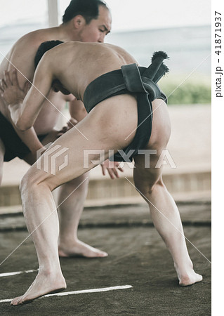 Sumo wrestling Sumo wrestling 41871937