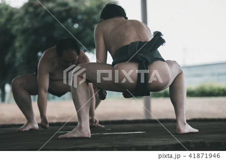 Sumo wrestling 41871946
