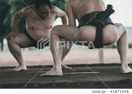 Sumo wrestling 41871948