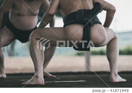 Sumo wrestling Sumo wrestling 41871949