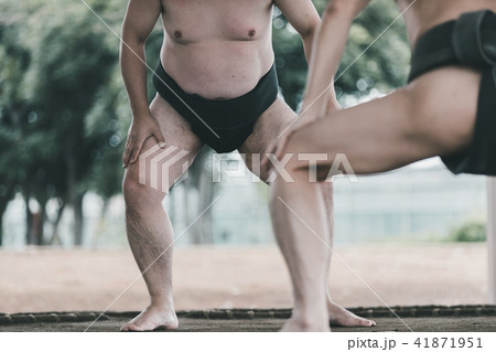Sumo wrestling Sumo wrestling 41871951