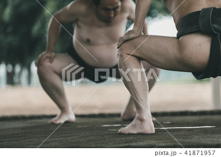 Sumo wrestling Sumo wrestling 41871957