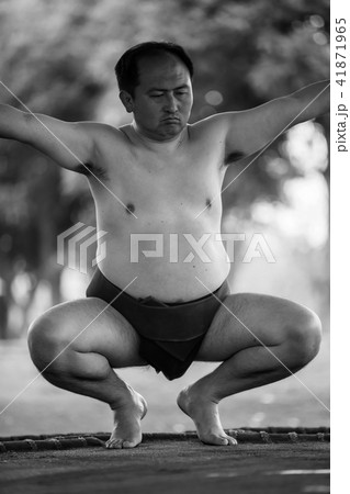 Sumo wrestling 41871965
