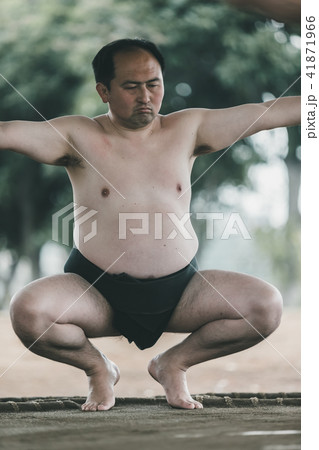 Sumo wrestling 41871966