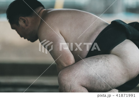 Sumo wrestling Sumo wrestling 41871991
