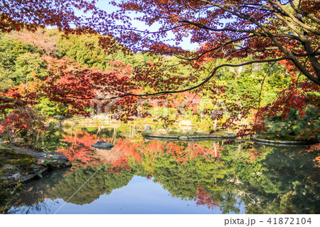 法金剛院・浄土式庭園、双ヶ丘を借景にして池に映る紅葉 41872104