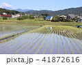 田植え２０１８０５ 41872616