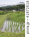 田植え２０１８０７ 41872618