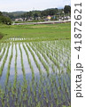 田植え２０１８１０ 41872621