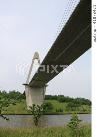 サンセット橋 サンセット橋 41873421