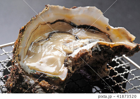 焼き網の上の生カキ 海鮮料理 焼き網の上の生カキ 海鮮料理 41873520