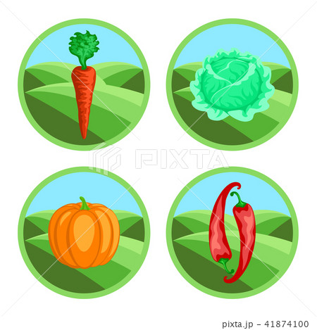 Icons of vegetables in color Icons of vegetables in color 41874100