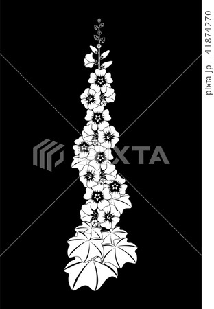 Mallow flower Mallow flower 41874270