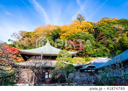 鎌倉 瑞泉寺 本堂と紅葉 鎌倉 瑞泉寺 本堂と紅葉 41874789