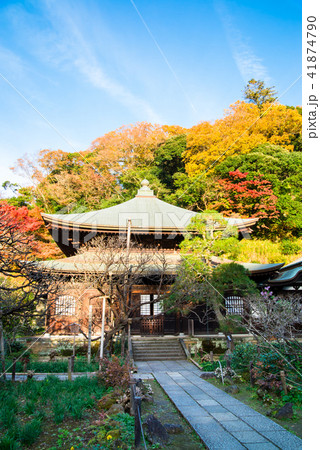鎌倉 瑞泉寺 本堂と紅葉 鎌倉 瑞泉寺 本堂と紅葉 41874790