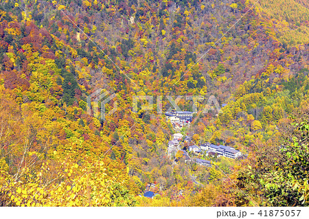 紅葉盛りの白骨温泉 紅葉盛りの白骨温泉 41875057
