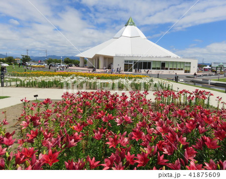 福井県坂井市　ゆりの里公園 41875609