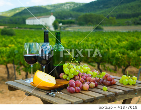 Red wine, cheese and grapes against vineyard 41877019