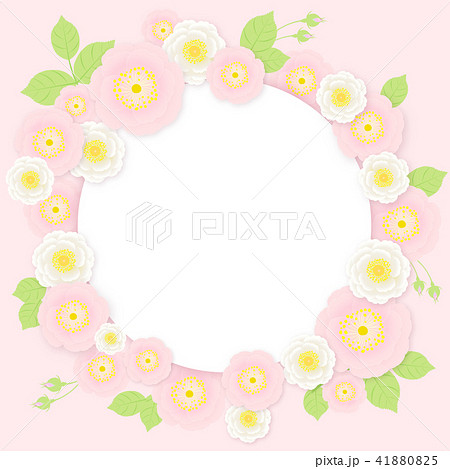 可愛いピンクのバラの花の丸フレームのイラスト素材 4105
