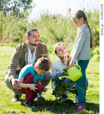 Parents with two kids planting a bush . Parents with two kids planting a bush . 41881398