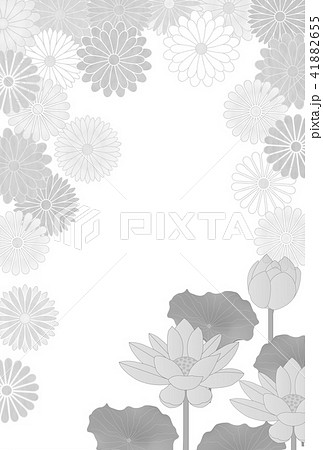 菊 喪中 はがき 背景  菊 喪中 はがき 背景  41882655