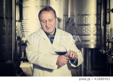 Wine maker controls quality of wine Wine maker controls quality of wine 41886491