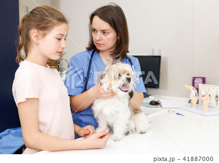 Worried girl with puppy visiting veterinarian clinic 41887000