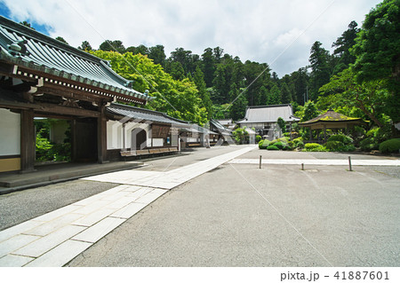 大雄山最乗寺　境内 41887601
