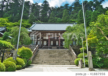 大雄山最乗寺 本堂 大雄山最乗寺 本堂 41887956