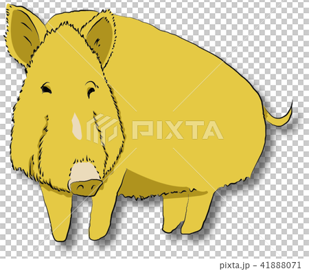 Zodiac Zodiac 41888071