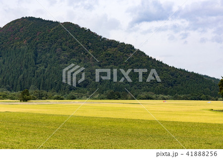 秋田県湯沢市　田園　（9月） 41888256
