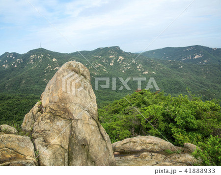 ソウル市 冠岳区 寺院 41888933