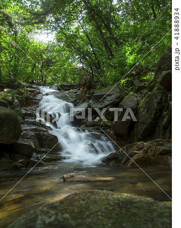 ソウル市 冠岳区 寺院 41888934