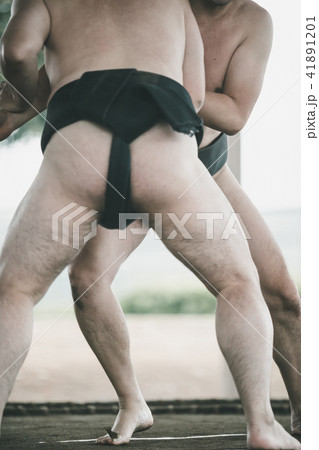 Sumo wrestling 41891201