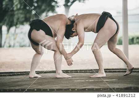 Sumo wrestling Sumo wrestling 41891212