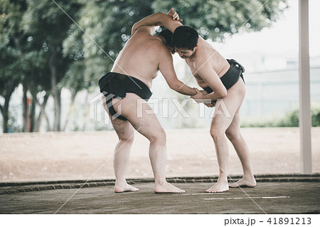 Sumo wrestling 41891213