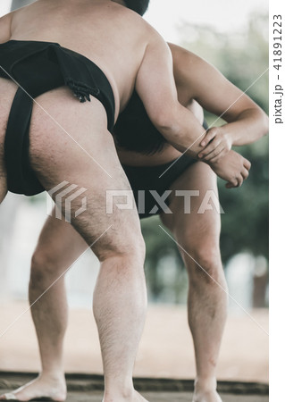 Sumo wrestling 41891223