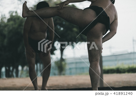 Sumo wrestling 41891240