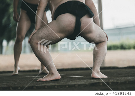 Sumo wrestling Sumo wrestling 41891242
