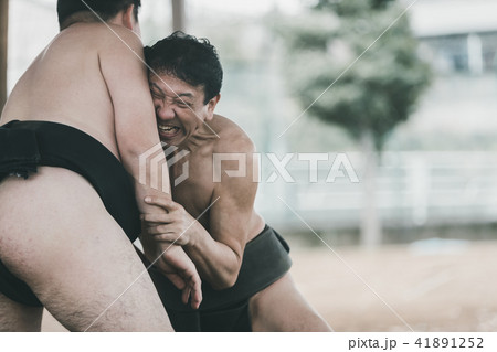 Sumo wrestling Sumo wrestling 41891252