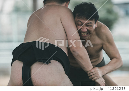 Sumo wrestling Sumo wrestling 41891253