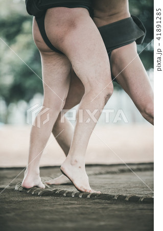 Sumo wrestling 41891285