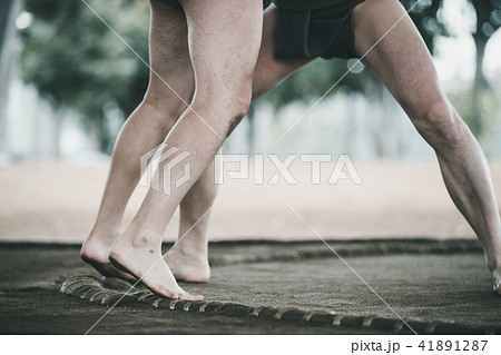 Sumo wrestling 41891287