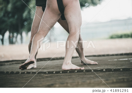 Sumo wrestling Sumo wrestling 41891291