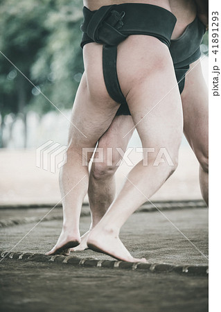 Sumo wrestling Sumo wrestling 41891293