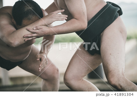 Sumo wrestling 41891304
