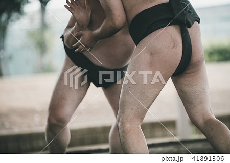Sumo wrestling Sumo wrestling 41891306
