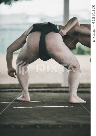 Sumo wrestling 41891320