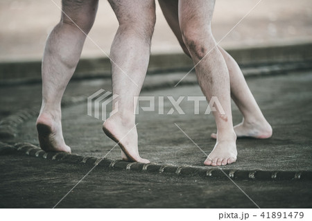 Sumo wrestling Sumo wrestling 41891479