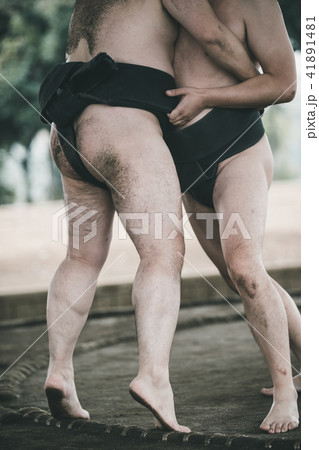 Sumo wrestling 41891481